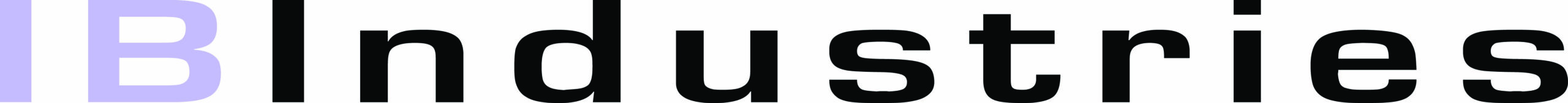 IB INDUSTRIES / EVT / HOCKH    Logo