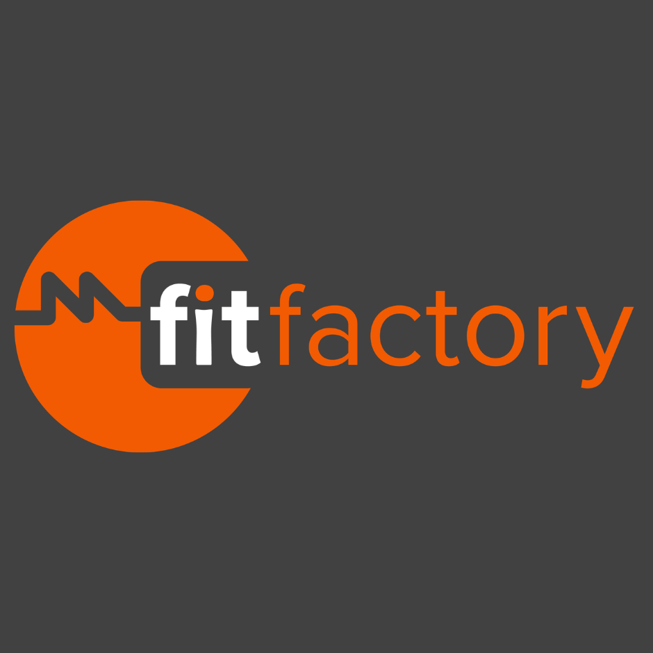 FITFACTORY TECHNOLOGY LTD Logo