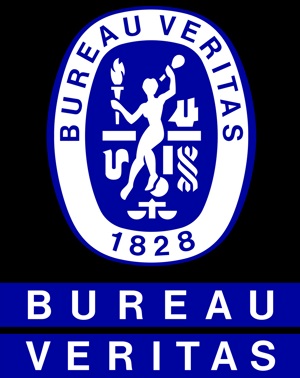 BUREAU VERITAS - AUTOMATION SAFETY Logo